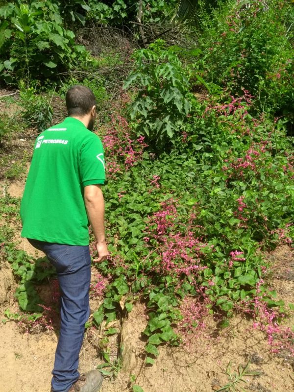 WhatsApp Image 2019-03-28 at 14.16.46 (1)