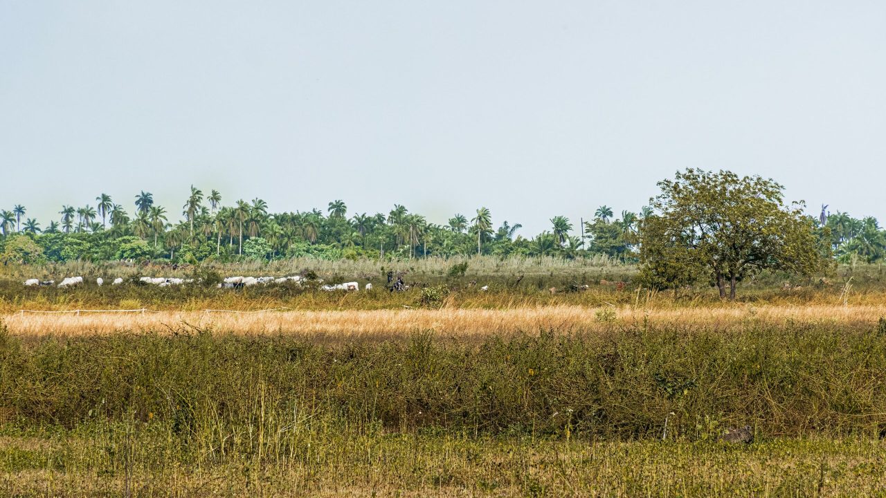 view-african-nature-landscape
